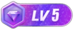 等级-LV5-插件仓库