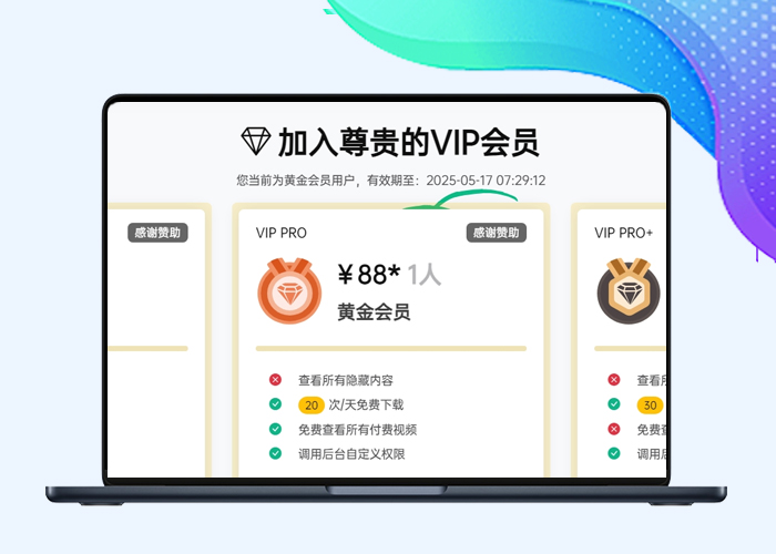 B2美化仿Haitheme主题的VIP页面-插件仓库
